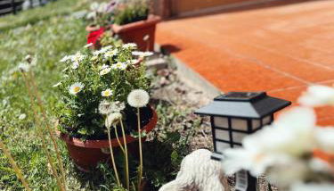 Apartaments Cel i Fusta - Photo 5, Garden view