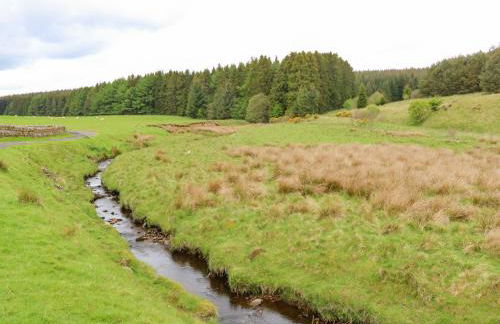 Shepherds Burn Cottage - Foto 29