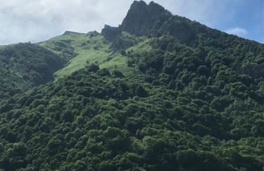 Résidence isard blanc - Foto 13