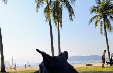 Studio com vista incrível no Flamengo - Foto 40