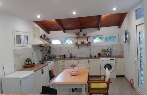 A modern farmhouse with big garden - Foto 20