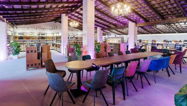 Discover the Château Island Wine Concept: Wine Tasting Experience in Algaida - Foto 5