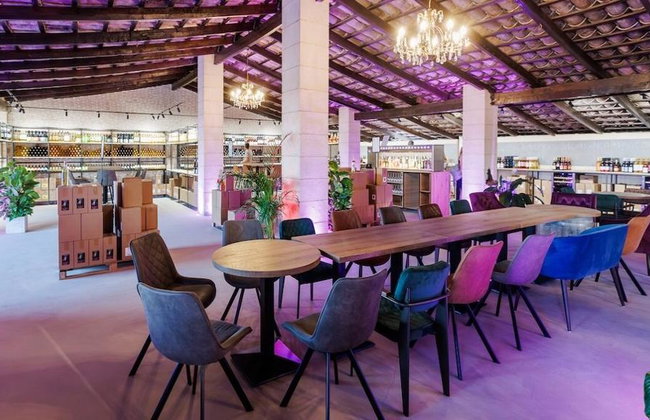 Discover the Château Island Wine Concept: Wine Tasting Experience in Algaida - Foto 5
