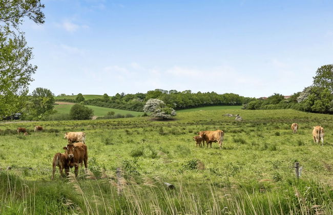 3 bedroom House in Broager with terrace and sauna - Photo 7