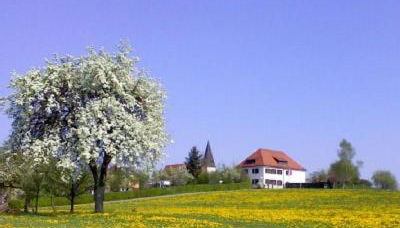 Ferienwohnung Sonja - Foto 4