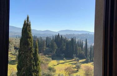 Borgo Bottaia - Foto 71