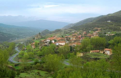 La Colmenita - Foto 2