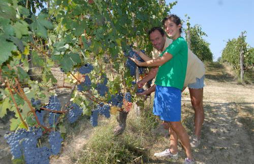 Agriturismo La Mussia - Foto 145