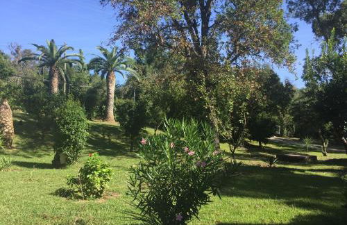 Résidence EMILIA - Foto 64