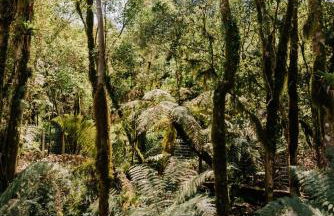 Chalé para 4 pessoas, 2km do Centro, Pet Friendly, Wi-fi 1GB, Lareira e Ar condicionado - Foto 8