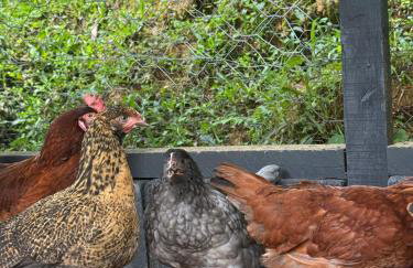 Serra Nevada House - Foto 27