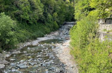 River house - Foto 47