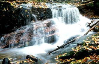 Rhöner Landhaus mit viel Flair - Foto 17