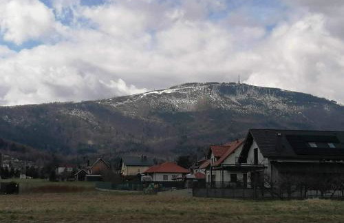 Lipowa Nest - Foto 26