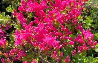 Oberstöberl - Foto 9