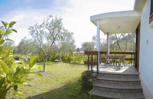 Agriturismo Antichi Ulivi - Foto 37