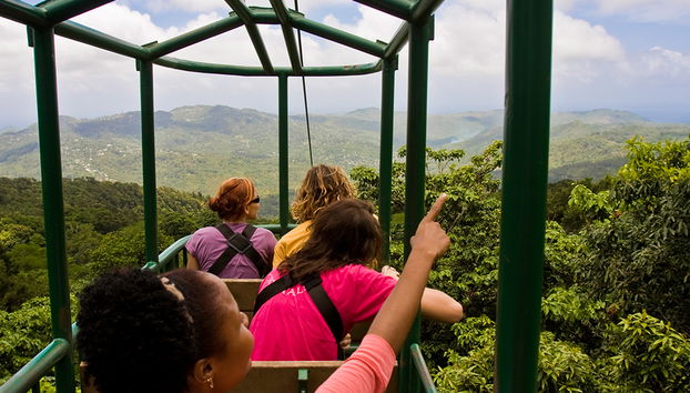 Paseo en tranvía elevado y aventura en tirolina - Foto 3