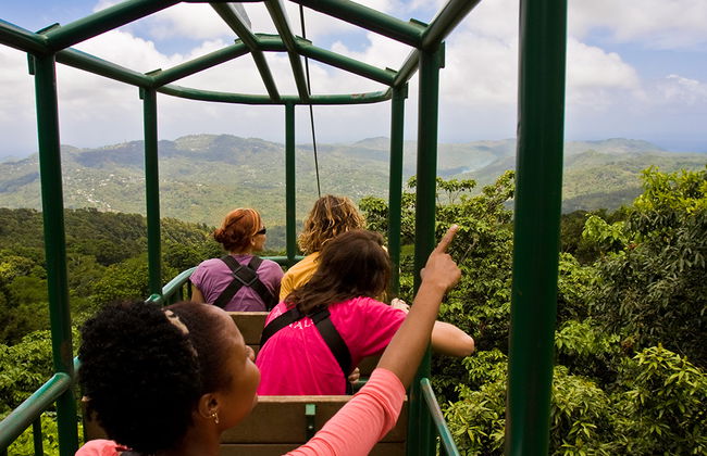 Paseo en tranvía elevado y aventura en tirolina - Foto 3