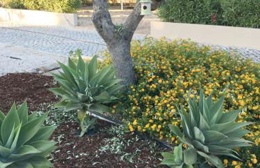 Quinta do Pinheiro Manso - Holidays Villa - Marinha Beach - Photo 25