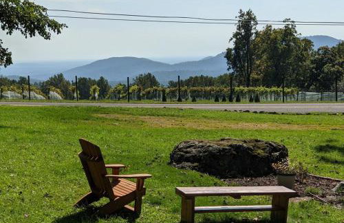 Blue Mountain Getaway Hot tub, Winery, Game Room - Foto 39