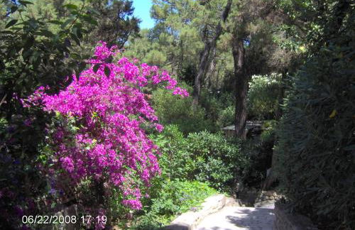 Residence Casa Di Caccia - Foto 6