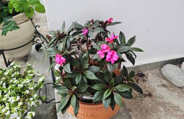 Sea view Goldins house - Foto 5