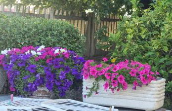 Paola's House - Foto 16