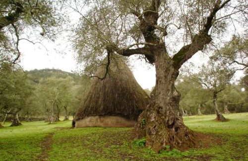 Charming house with mountain view in Encinasola, fireplace - Photo 16
