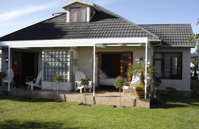 Beautiful Abalone - Photo 1