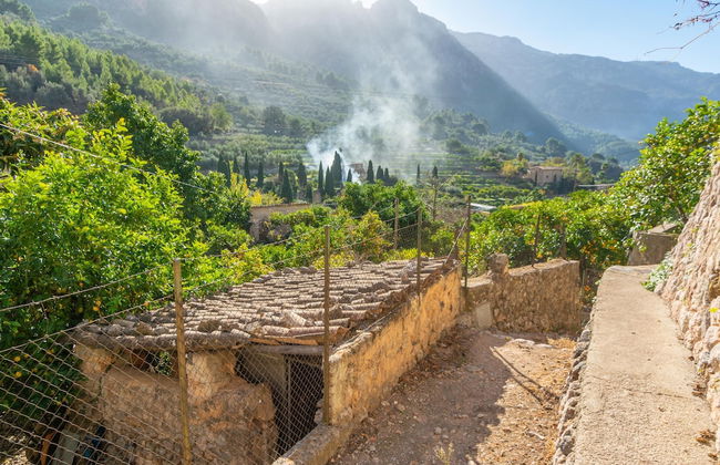 Cas Decu in Fornalutx - Photo 30