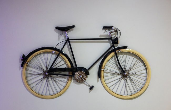 Rancho Haas - Photo 33