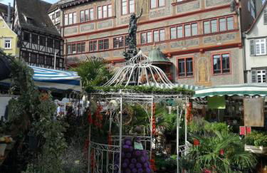 Schöne, große Ferienwohnung in Waldenbuch, nahe Stuttgart Messe, Böblingen, Sindelfingen - Foto 46