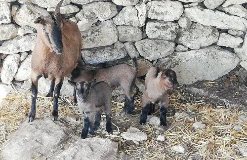 Le Grotte di Sileno - Foto 55