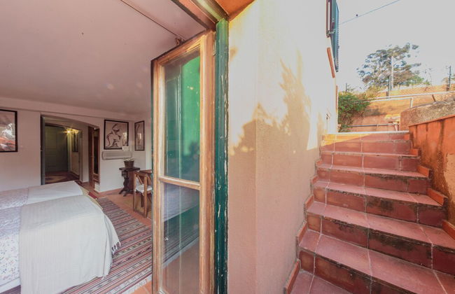 Shepinetree - Pinheira House - Foto 27