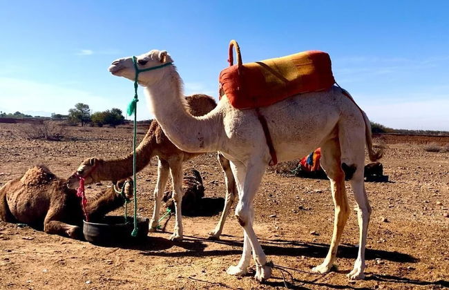 Quelque part au barrage - Foto 16