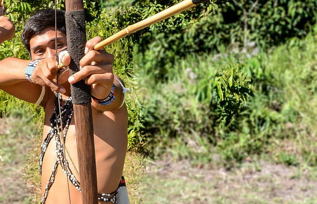 Visita privada à tribo guarani Ribeirão Silveira - Foto 1