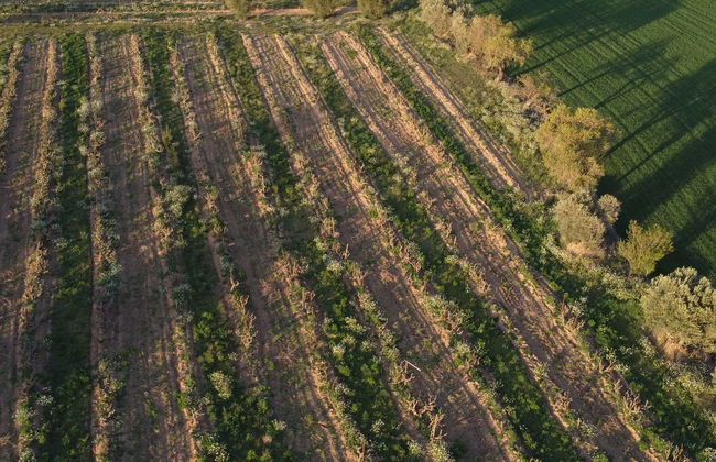 Tour in Algerri - Photo 1