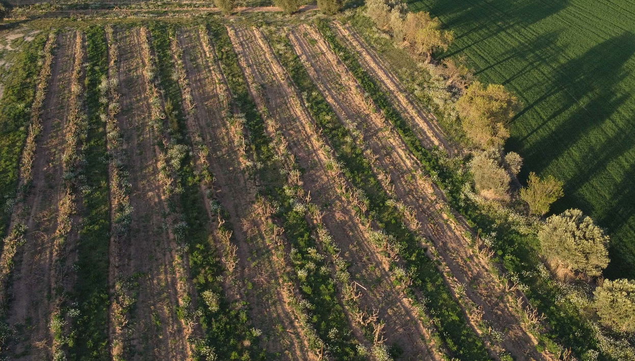 Tour in Algerri - Photo 1