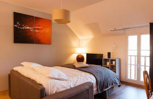 Studio confortable, parking et jardin - Photo 8