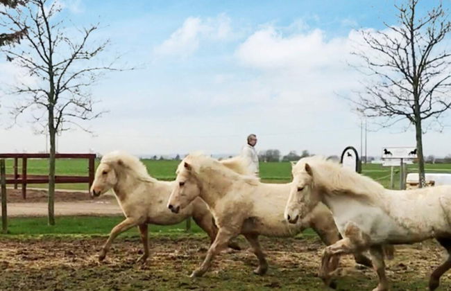 Holiday Home in Helsingborg - Foto 14