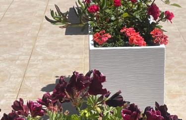 PARADISE GARDEN - Photo 61