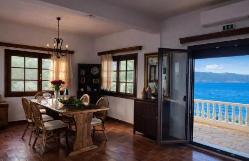 Blue Dandelion - Photo 17