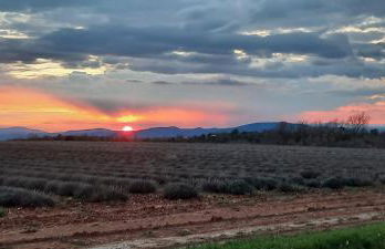 Chez Christophe Valensole - Photo 18