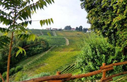 Cà Mia - Casa vacanze nelle vigne del Barolo - Foto 17