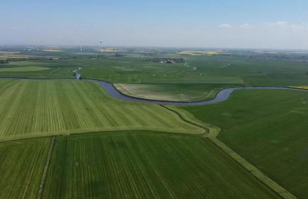 Kleine Scholle - Photo 25