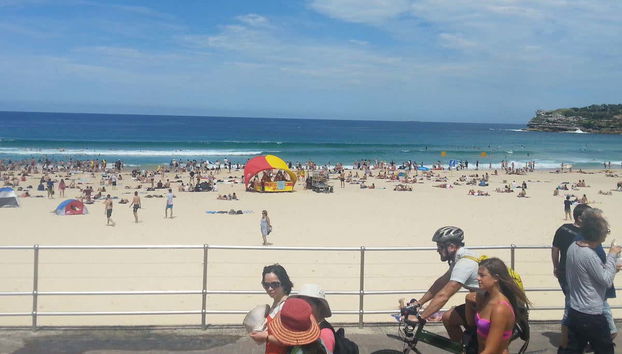 Bondi Beach