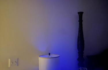 Updated The Palace of the Hamptons - Foto 8