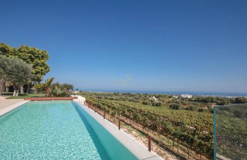 TD Tenuta Donna Madia Sea View Pool Over Vineyard - Foto 94