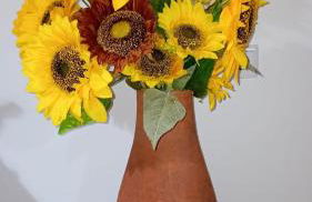 Sunflower Guest House - Madalena - Pico - Photo 42