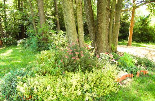 Domek Zofiówka dostęp na kod - Foto 21